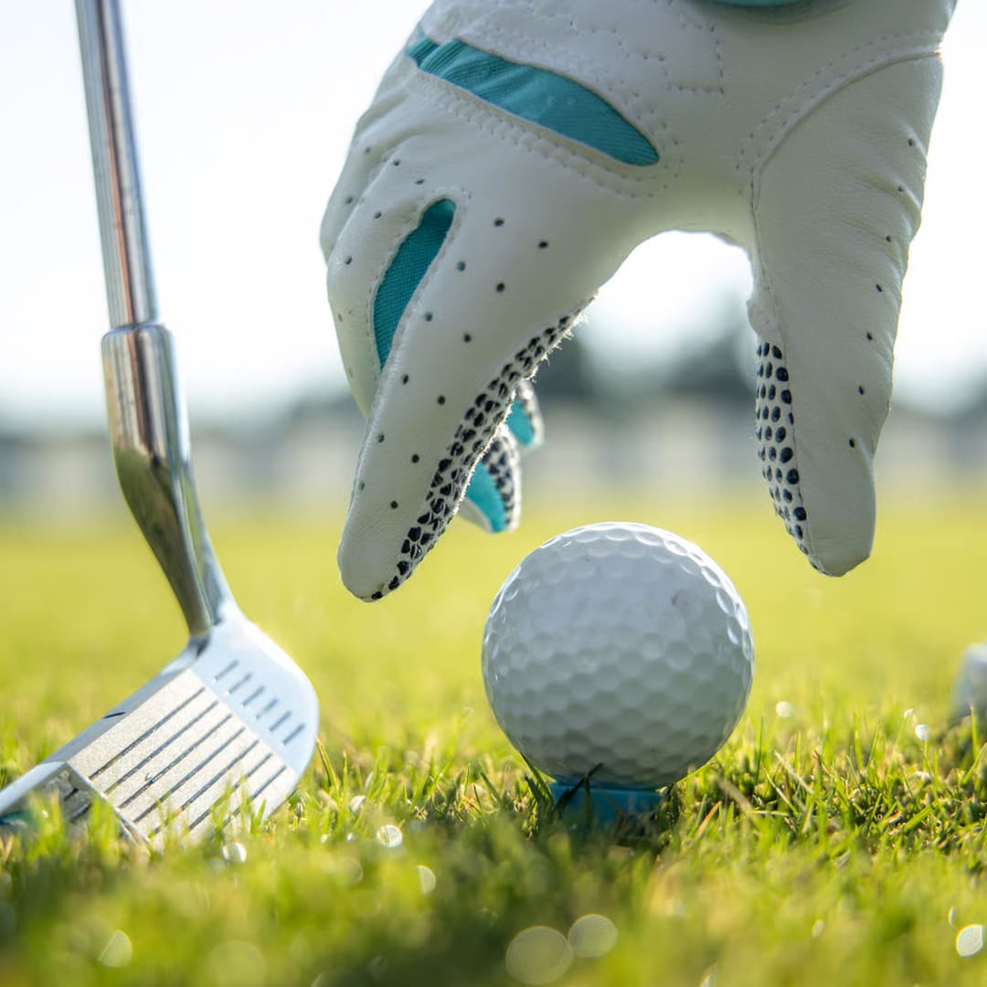 Golteralune Courses course 